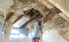 Best Commercial Mold Inspection  in Clear Lake, WI